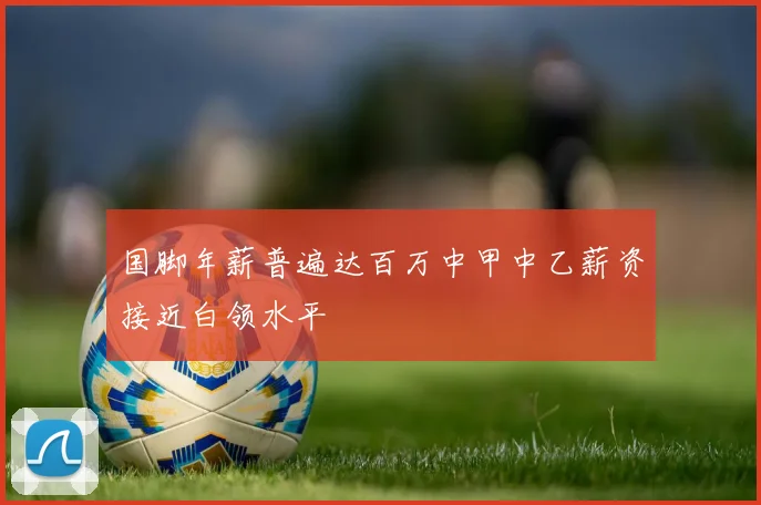 国脚年薪普遍达百万中甲中乙薪资接近白领水平