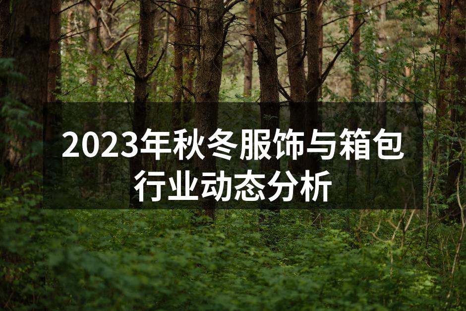2023年秋冬流行服饰展示